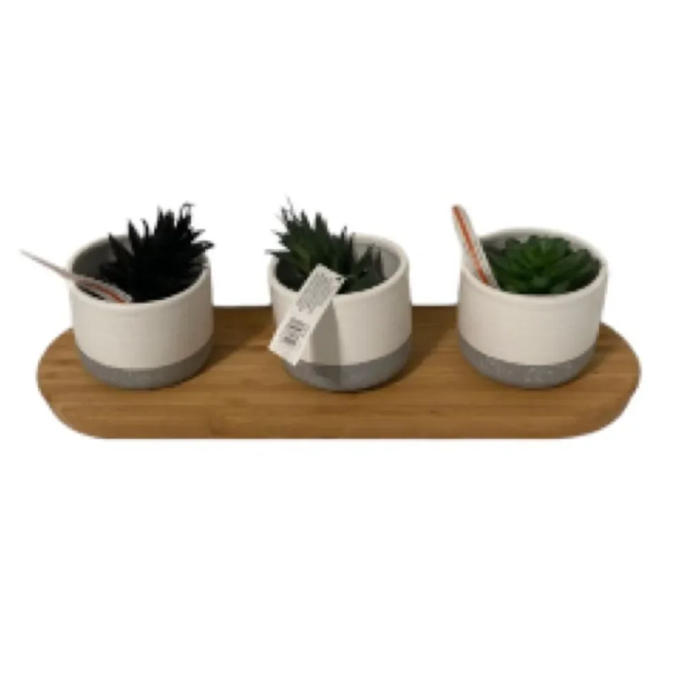 CENTERPIECE Decor Mini Faux Succulents in Ceramic Pots ASHLAND Wooden Tray